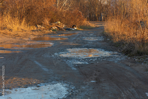 A muddy road with puddles covered in ice photo