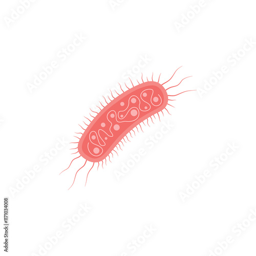 Escherichia Coli Illustration