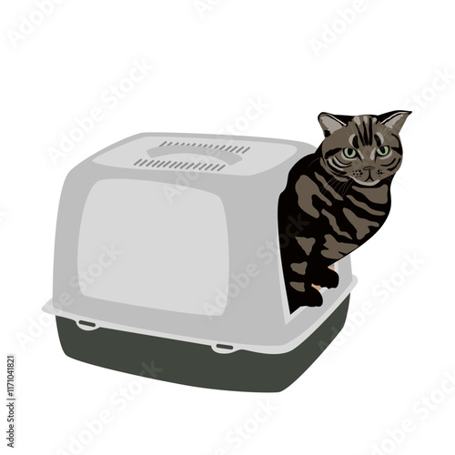 Big striped cat using the closed cat litter box. Vector illustration isolated on white