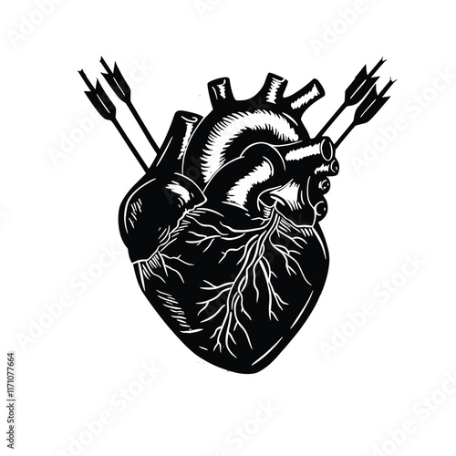 Black-and-white anatomical heart pierced by crossed arrows.