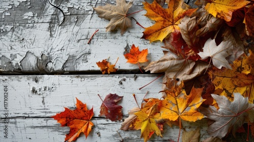 Autumn Leaves on Whitewashed Wood Plank Board with Copy Space