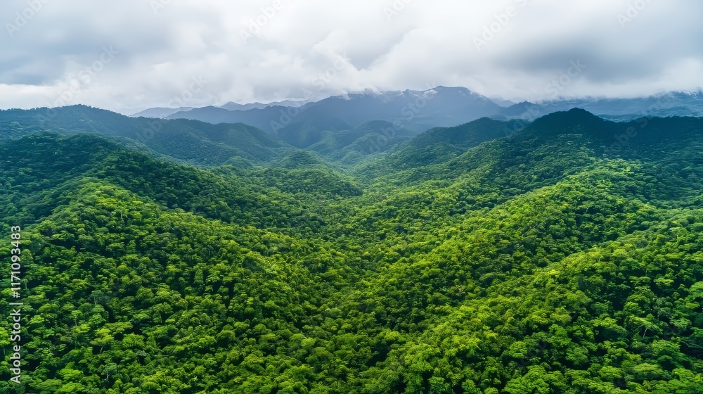 Fototapeta premium Representation of ecosystem and healthy ecological environment concepts