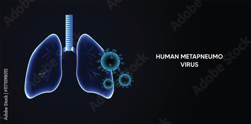 glowing lung with Human Metapneumovirus virus vector poster