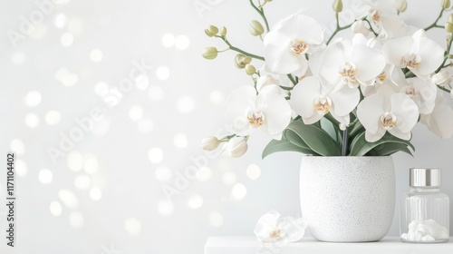 Wallpaper Mural Serene White Orchids in a Chic Pot,  Soft Light Background Torontodigital.ca