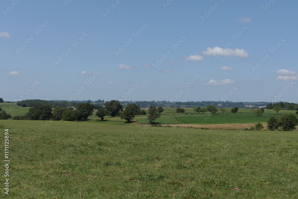 Fototapeta premium aerial, agriculture, background, blue, country, countryside, day, europe, european, farmland, field, fields, forest, france, french, french countryside, french landscape, grass, green, hiking, hill, h