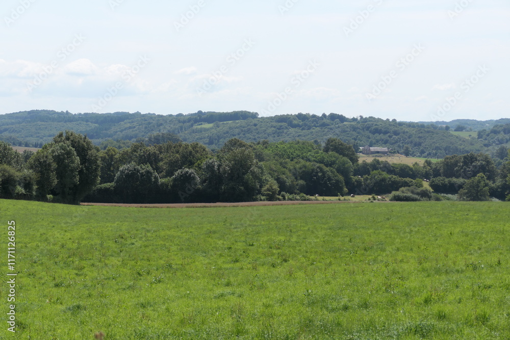 Obraz premium A picturesque green valley with dense trees under a bright blue summer sky, showcasing lush green and the warmth of a sunny day in a horizontal frame.