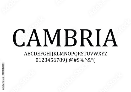 Cambria font for logo and headline. Isolated Vector typeset