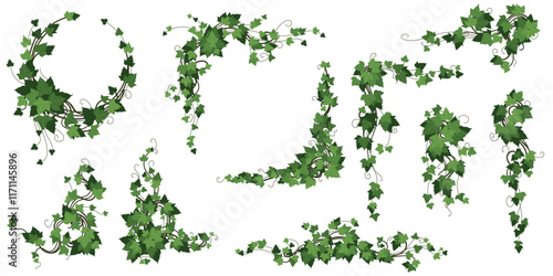 Plant wall. Green liana. Ivy vegetation border. Grass interior. Leafy outdoor shrub. Growing design. Ornate floral jungle. Botanical corner. Creeper with leaves. Vector decorative foliage frames set