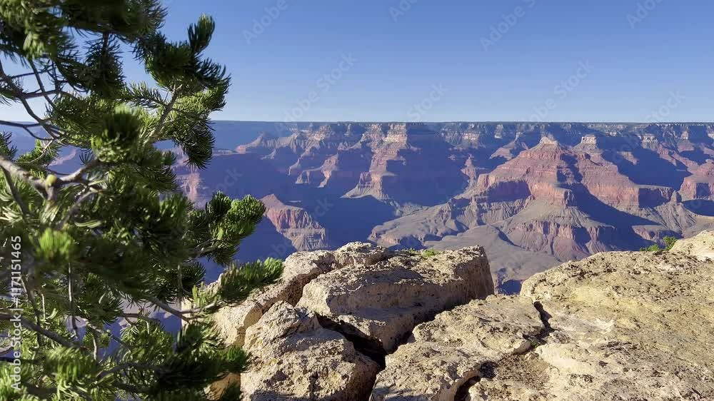 Branch of a pine tree to the majestic rocks of the Grand Canyon. A seamless transition from detail to a wide landscape reveals nature’s beauty. Branch of a pine tree to the majestic rocks of the Grand Canyon. A seamless transition from detail to a wide landscape reveals nature’s beauty.