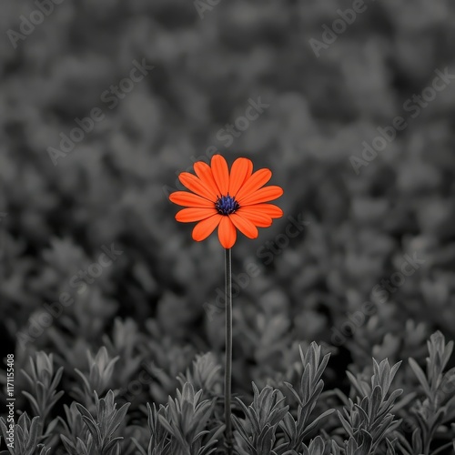 A vibrant orange flower stands out against a dark green background, symbolizing resilience and beauty in nature.