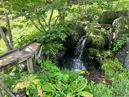 waterfall in the forest photo