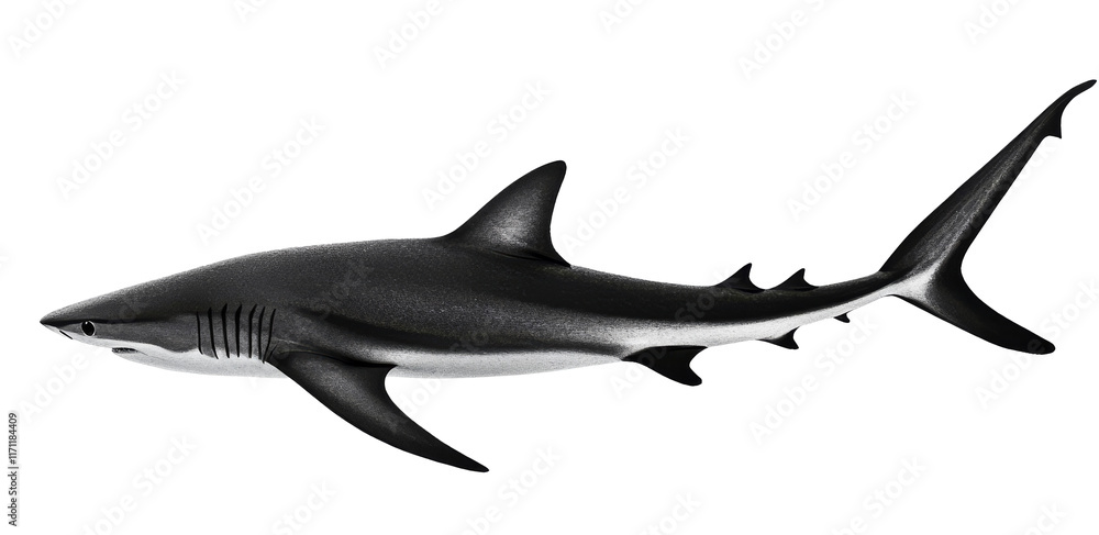 A sleek shark is swimming through clear blue water A sleek shark is swimming through clear blue water
