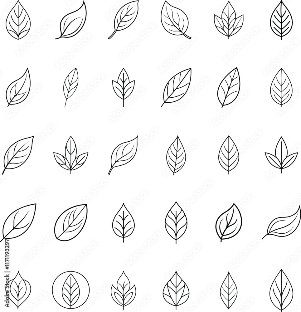 Simple Line Art Botanical Leaf Illustrations Nature Design Elements Simple Line Art Botanical Leaf Illustrations Nature Design Elements