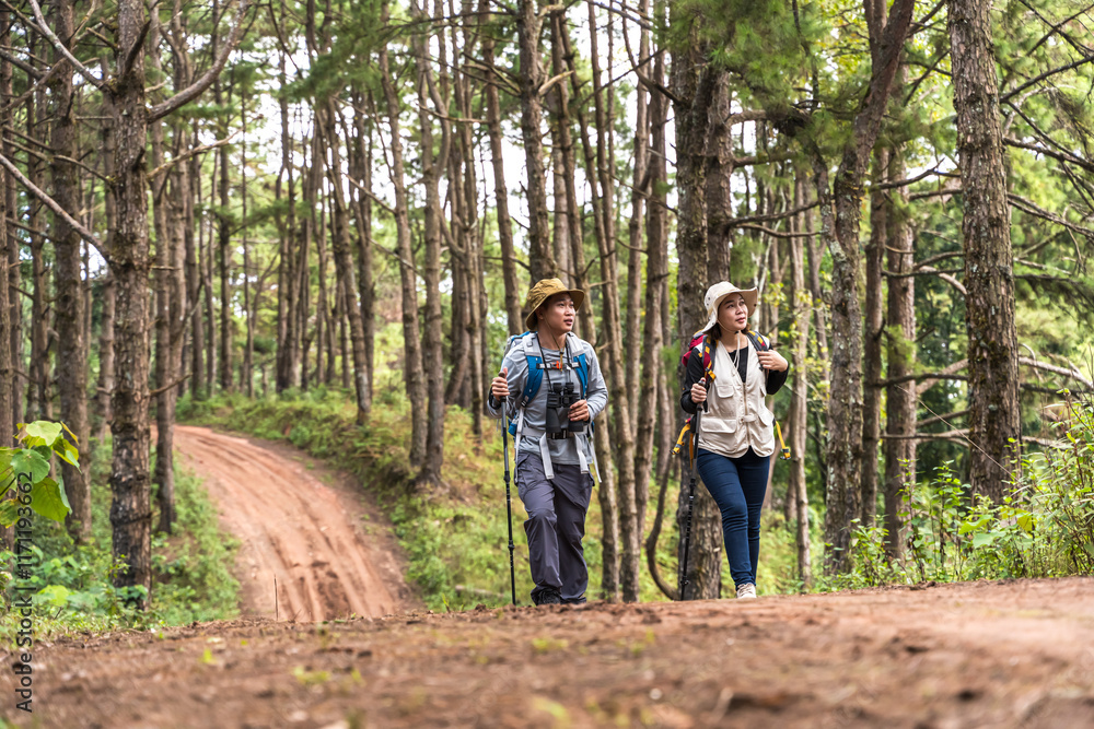 Asian man and woman hikers with hiking poles walking on dirt trail in national forest Asian man and woman hikers with hiking poles walking on dirt trail in national forest