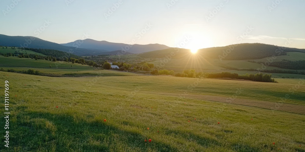 Vast poppy field under the glow of a setting sun, casting long shadows and creating a harmonious blend of warm colors and tranquility. Vast poppy field under the glow of a setting sun, casting long shadows and creating a harmonious blend of warm colors and tranquility.