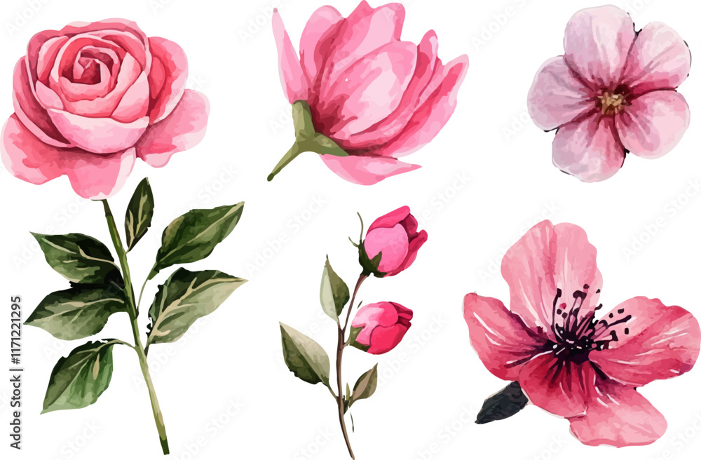 Fototapeta premium set of pink flowers