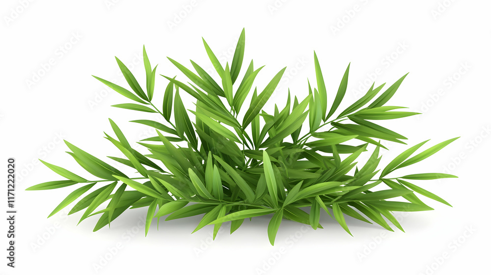Fototapeta premium Lush green foliage bush isolated on white background, ideal for design elements.