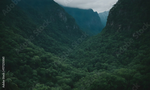 Majestic Green Jungle - A Verdant Natural Wonderland
