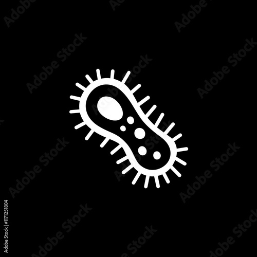 Bacteria