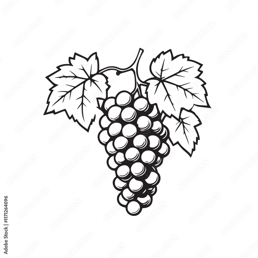 Fototapeta premium illustration of grapes