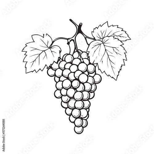 bunch of grapes with leaves
