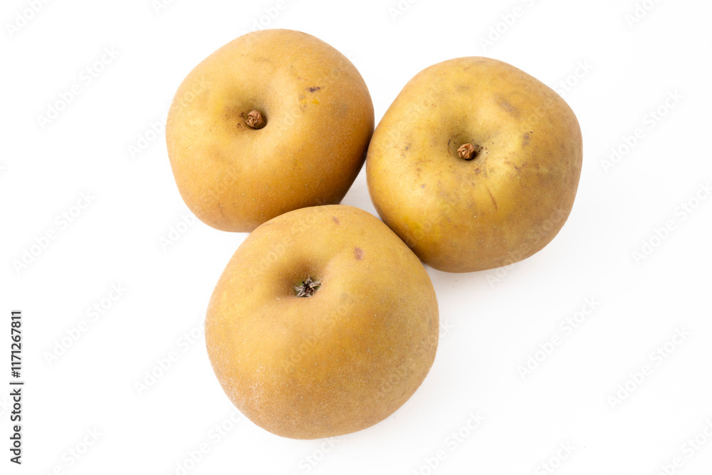 Gennevilliers, France - 01 02 2024: Still life. Close up of three apples Canada on a white background. Gennevilliers, France - 01 02 2024: Still life. Close up of three apples Canada on a white background.