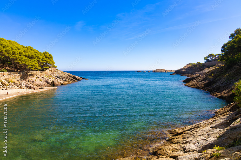 Fototapeta premium Cala d'Aiguafreda z czystą wodą, otoczona sosnami i skałami, pod czystym niebem, Hiszpania.