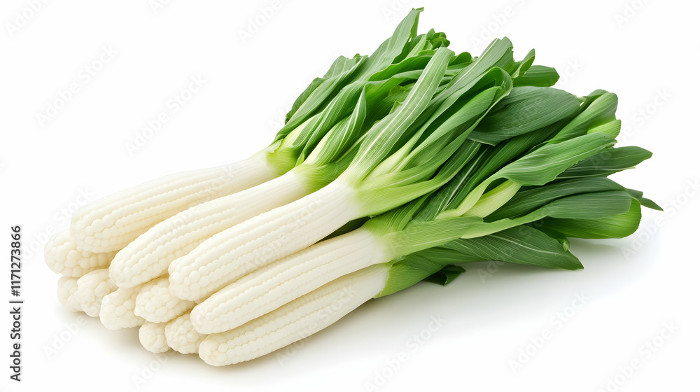 Fresh White Baby Corn Stalks Isolated on White Background for Food Packaging.