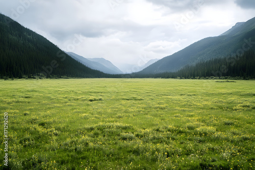 Empty green meadow with moutains in the background, grass field with a bit of blue sky at summer