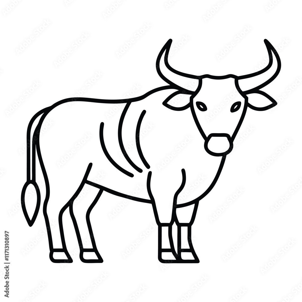 cow isolated on white cow isolated on white