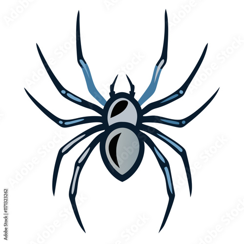 Illustration of a detailed spider on a white background