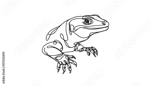 lizard line art