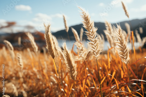 landscape is brought to life by lively and rhythmic movement of wild grasses swaying in wind photo