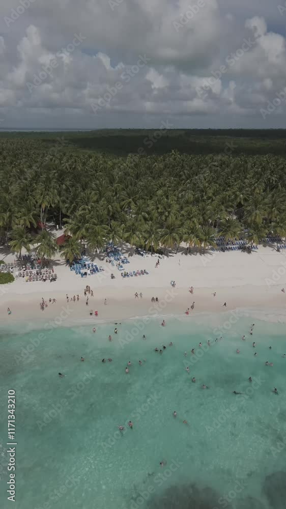 Aerial video of calm turquoise waters, along the tropical coast in the Dominican Republic Aerial video of calm turquoise waters, along the tropical coast in the Dominican Republic