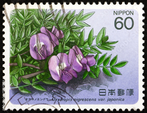 Postage stamp Japan 1985 oxytropis nigrescens var. japonica, is a shrub and grows in the subalpine and subarctic biome photo