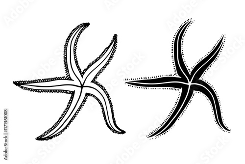 Line sketch, silhouette, stamp of aquatic inhabitants of starfish. Vector graphics.