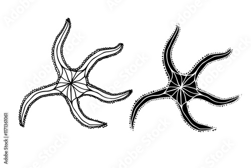 Line sketch, silhouette, stamp of aquatic inhabitants of starfish. Vector graphics.