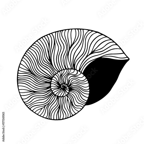 Sketch of aquatic inhabitants of decorative seashells. Vector graphics.