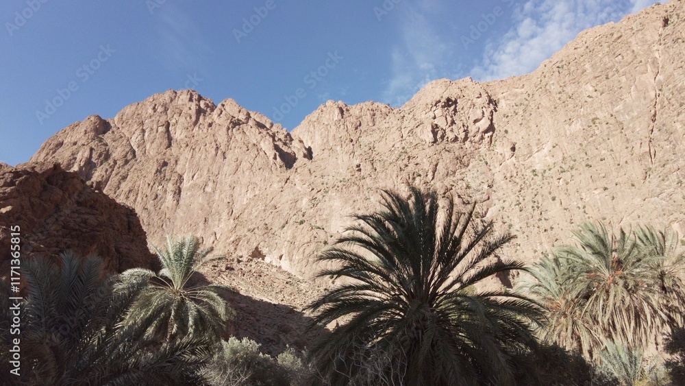Africa, Tinghir, Morocco, Todra Gorge of Atlas mountains, People tourists walking between rocky high walls of the canyon ,
Todra and Dades Valley tourist destination sightseeing attraction