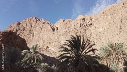 Africa, Tinghir, Morocco,   Todra Gorge of Atlas mountains, People tourists walking between rocky high walls of the canyon ,
Todra and Dades Valley tourist destination sightseeing attraction