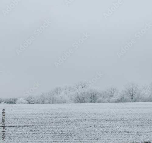 Wallpaper Mural Winter landscape background Torontodigital.ca