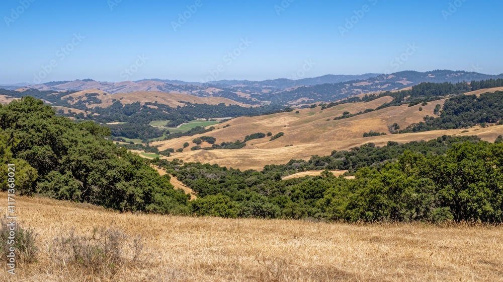 A sweeping view of rolling hills and fields under a clear blue sky. A sweeping view of rolling hills and fields under a clear blue sky.