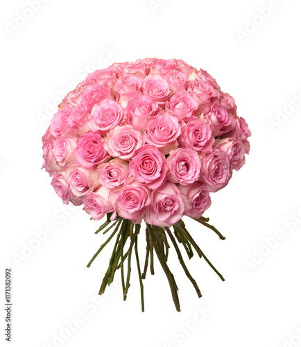 Blush Pink Roses in a Dome Arrangement with a Yellow Backdrop