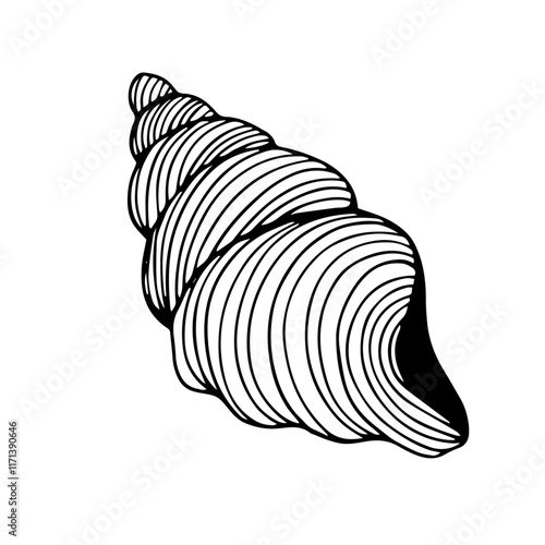 Sketch of aquatic inhabitants of decorative seashells. Vector graphics.