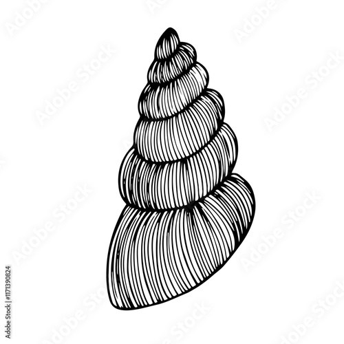 Sketch of aquatic inhabitants of decorative seashells. Vector graphics.