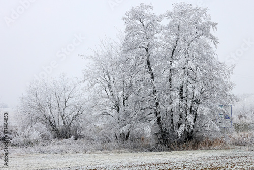 Eine verzauberte Landschaft im niederösterreichischen Weinviertel photo