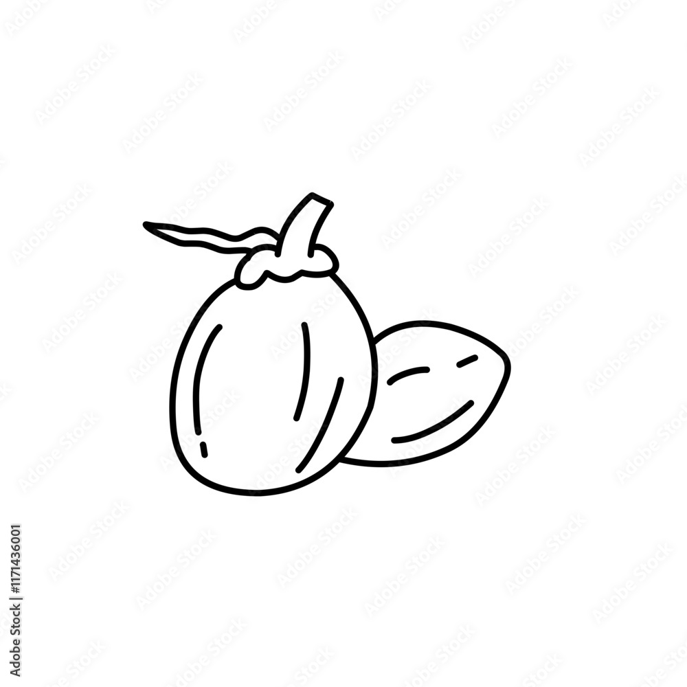 coconut line icon coconut line icon