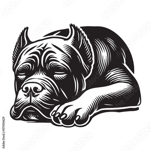 Cane Corso Dog sleeping Design Svg