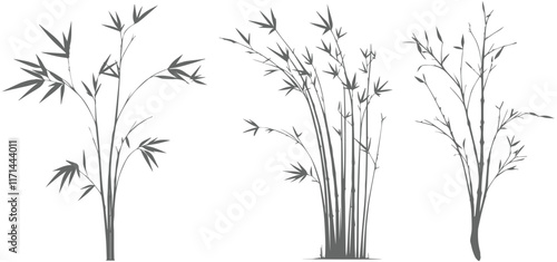 A set of bamboo branches vector
