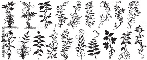 Set with silhouettes of detailed plants isolated on white background. Vector